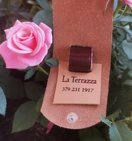 B&B La Terrazza Domodossola Dış mekan fotoğraf